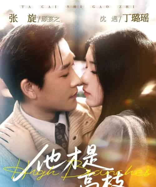 他才是高枝（77集全）张旋＆丁璐瑶-紫橙网创项目网