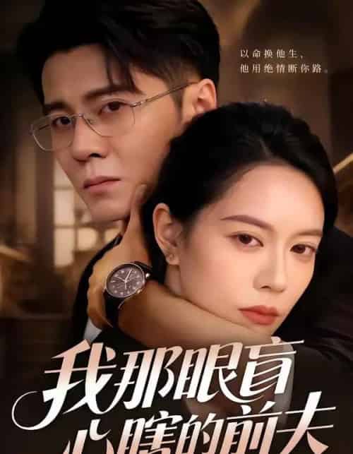我那眼盲心瞎的前夫(61集全)刘君尧&李曼-紫橙网创项目网