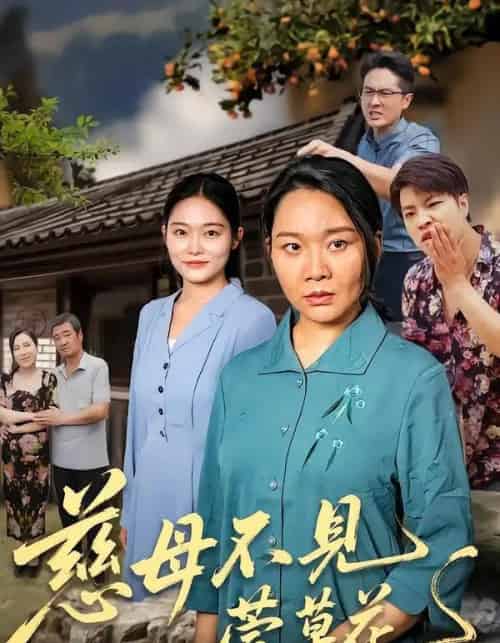 慈母不见萱草花（44集全）刘乃强＆李偌菡 - 紫橙阁短剧