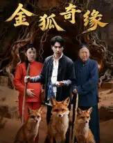金狐奇缘(42集全)李图图&张旭-紫橙网创项目网