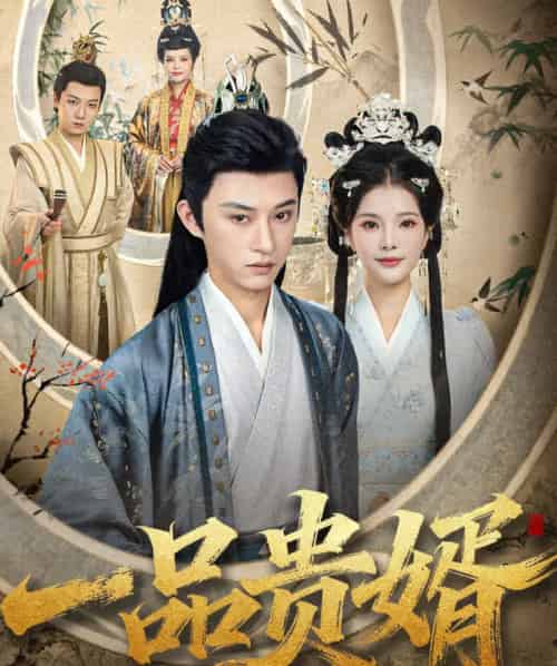一品贵婿（80集全）孙景琛＆万羽沫-紫橙网创项目网