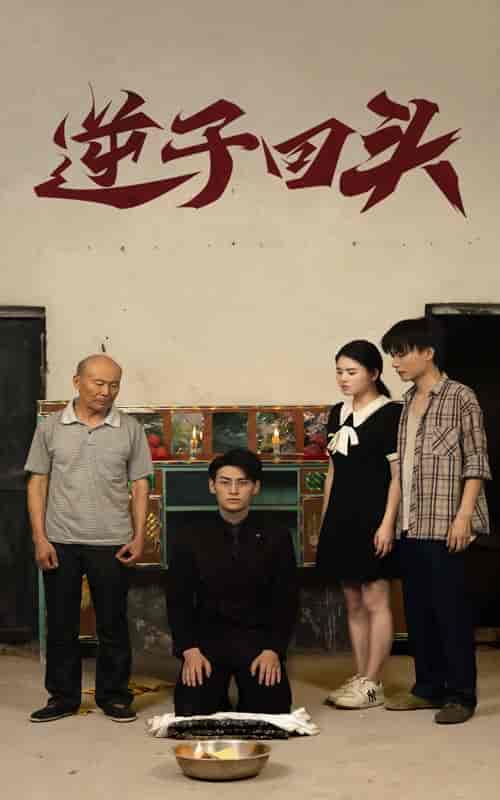 逆子回头（33集） - 紫橙阁短剧