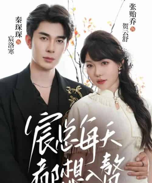 宸总每天都想入赘（65集全）秦琛琛＆张贻乔-紫橙网创项目网