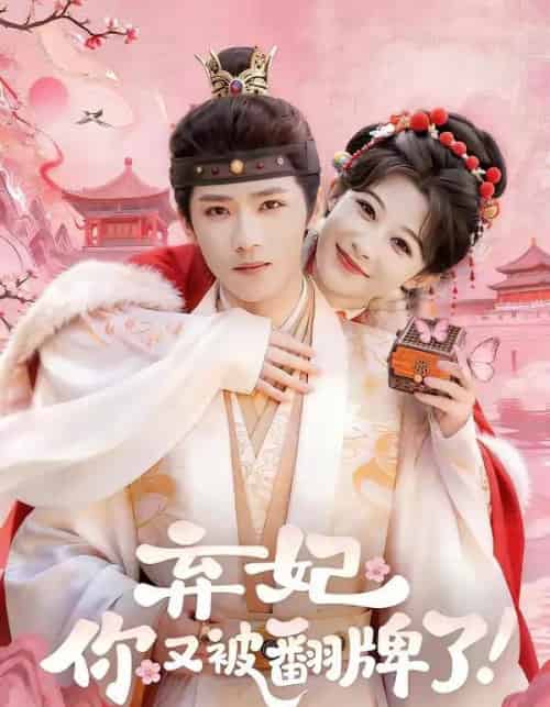 弃妃,你又被翻牌了(64集全)郭芷铭&孙妍恩-紫橙网创项目网