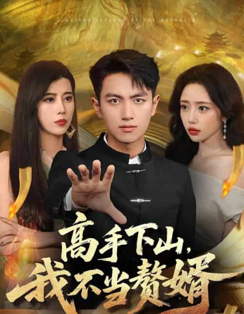 高手下山我不当赘婿(66集全)苏凝&鲜嘉臣-紫橙网创项目网