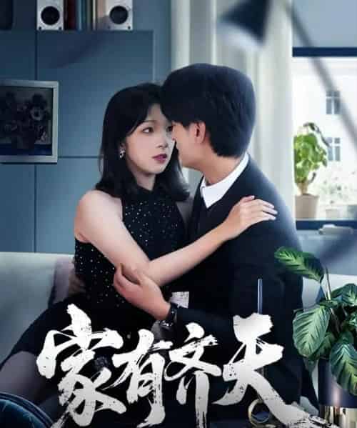 家有齐天（60集全）王国豪杰＆孙梦蝶＆曲美霖-紫橙网创项目网