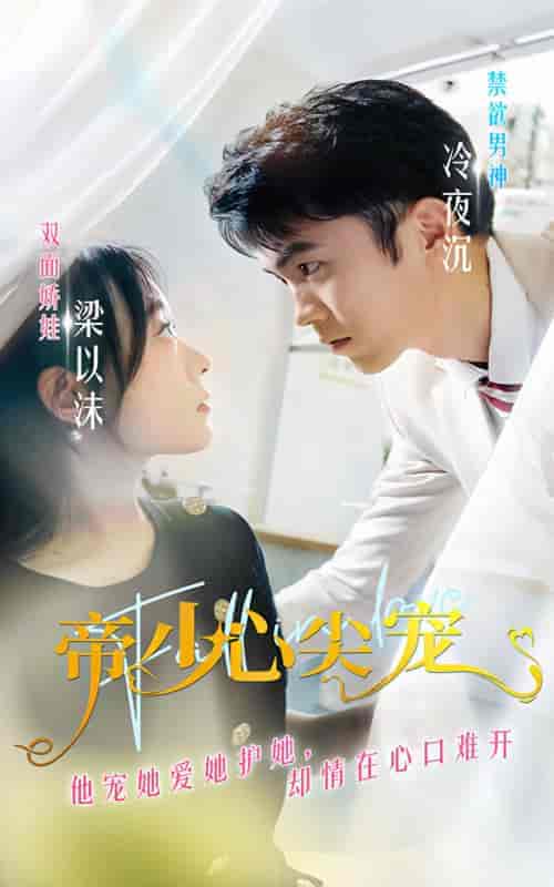 帝少心尖宠 帝少心尖宠