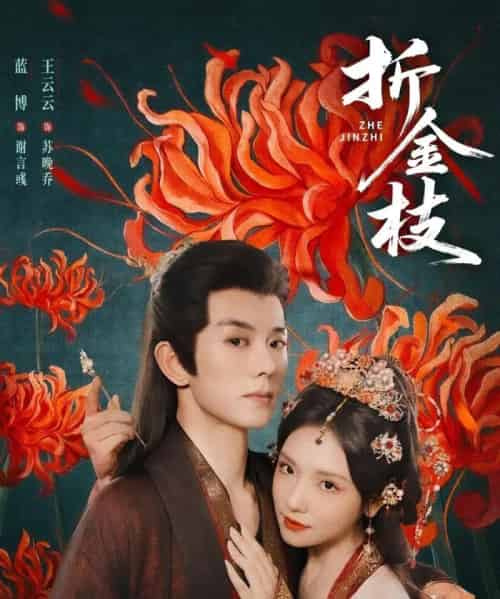 折金枝（73集）蓝博＆王云云-紫橙网创项目网