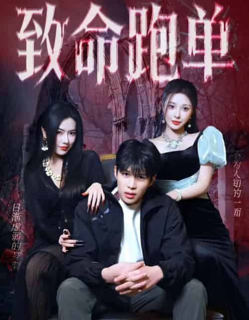 致命跑单(62集全)李瞳潼&辛润茜-紫橙网创项目网