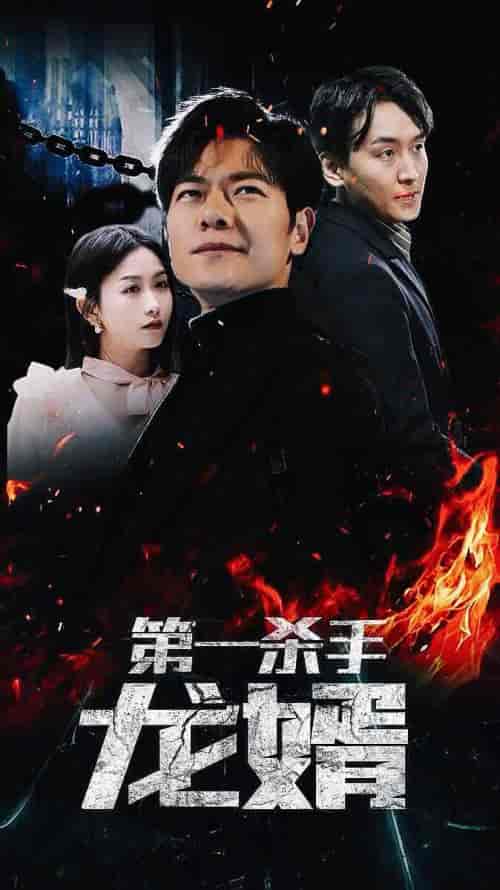 第一杀手龙婿 第一杀手龙婿