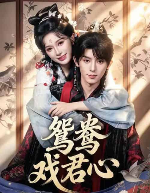 鸳鸯戏君心（60集全）宋益凡＆金雅娜-紫橙网创项目网