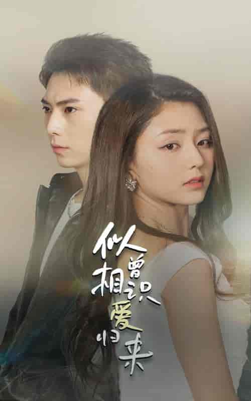 似曾相识爱归来（77集） - 紫橙阁短剧