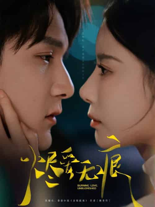 烬爱无痕（92集全）栗子千＆张珊 - 紫橙阁短剧