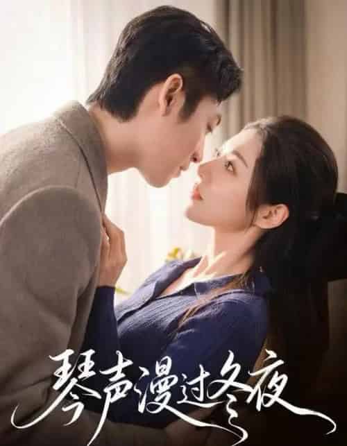 琴声漫过冬夜（61集全）汐炎＆蔡明哲-紫橙网创项目网