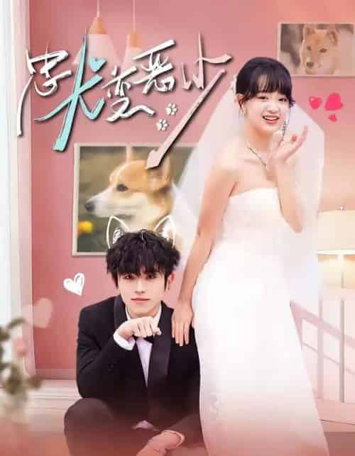 惊！我家来福变恶少了＆忠犬变恶少（80集全）曹竣柯＆赵影-紫橙网创项目网