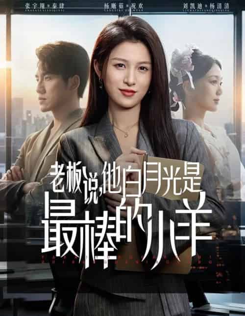 老板说,他白月光是最棒的小羊(60集全)杨晰茹&张宇翔-紫橙网创项目网