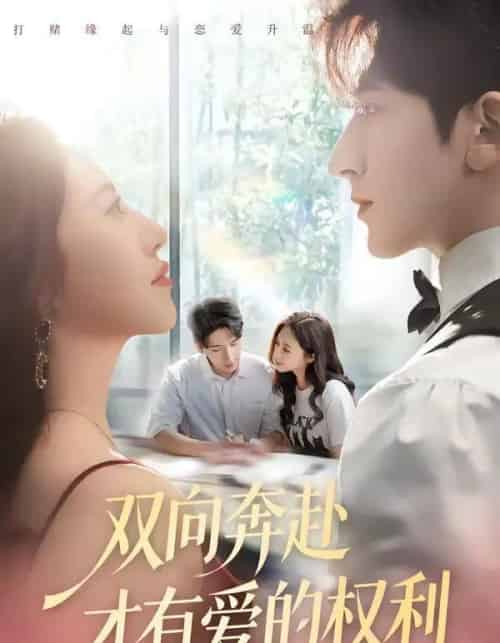 双向奔赴才有爱的权利(80集全)六一&斯坎-紫橙网创项目网