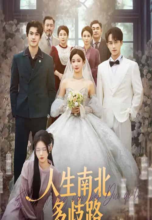 人生南北多歧路（45集全）谭心＆辛灏云-紫橙网创项目网