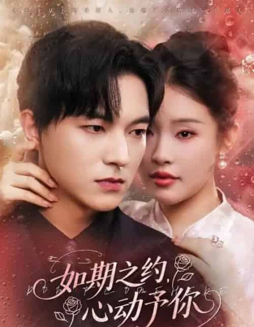 如期之约心动予你（82集全）权睿＆魏天浩 - 紫橙阁短剧