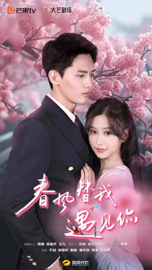 春风替我遇见你（100集） - 紫橙阁短剧