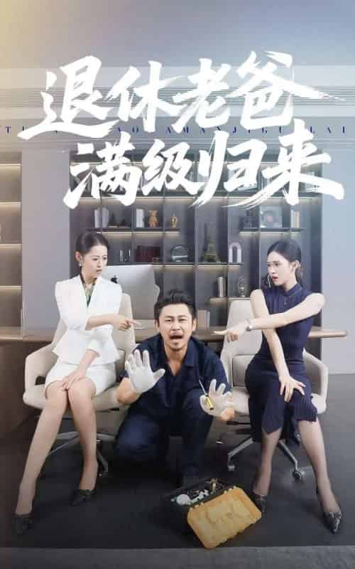 退休老爸满级归来(100集全)何佳妮&郑歌-紫橙网创项目网