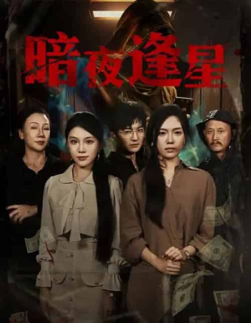 暗夜逢星(67集全)王泽轩&陈墁柯-紫橙网创项目网