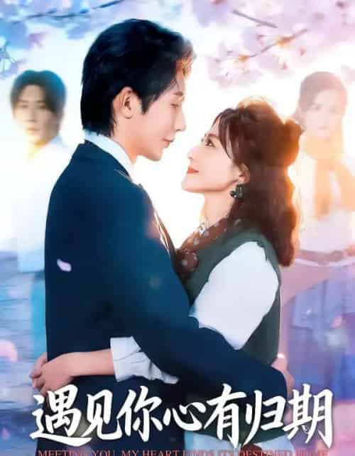 遇见你心有归期（81集全）桑岂＆闫聪-紫橙网创项目网