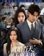 离婚当天世上再无我（60集全）董劭辉 - 紫橙阁短剧
