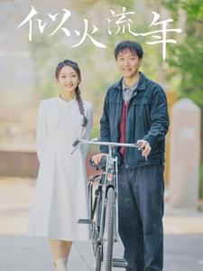 似火流年（100集） - 紫橙阁短剧