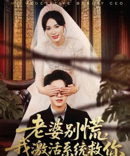 老婆别慌,我激活系统救你(80集全)孙航&柯珂-紫橙网创项目网