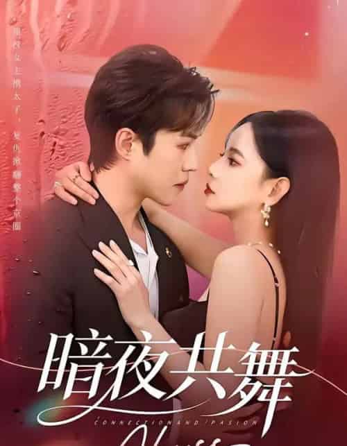 暗夜共舞（80集全）潘思雅＆潇然-紫橙网创项目网
