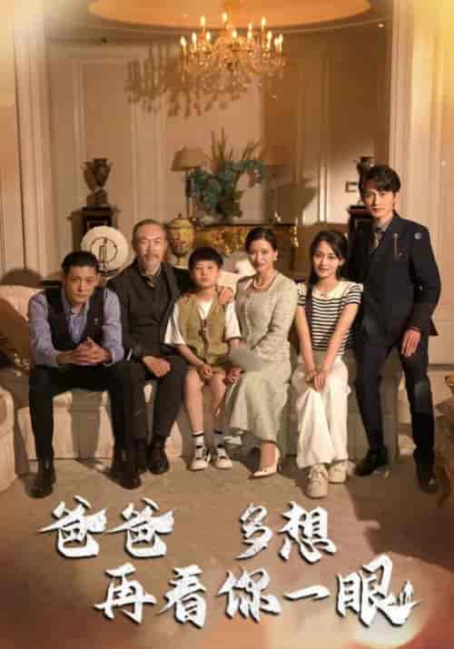 爸爸多想再看你一眼（73集全）林元纬＆魏莱 - 紫橙阁短剧