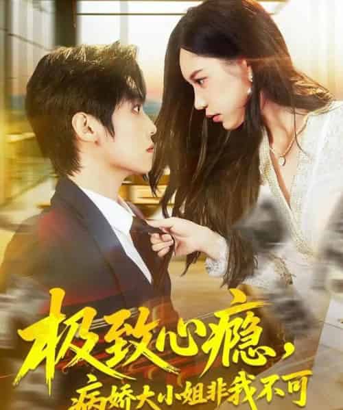 极致心瘾，病娇大小姐非我不可（80集全）傅宇航＆姜一朵-紫橙网创项目网