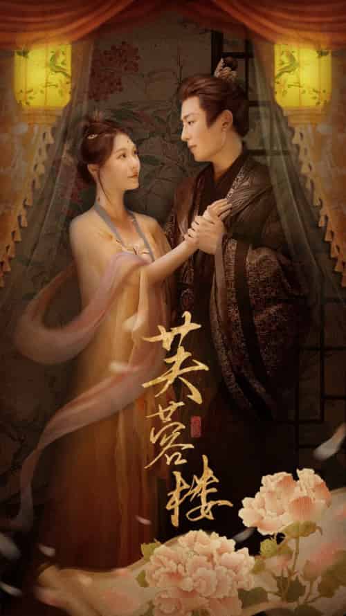 芙蓉楼（50集全）郑晨雨＆星硕 - 紫橙阁短剧