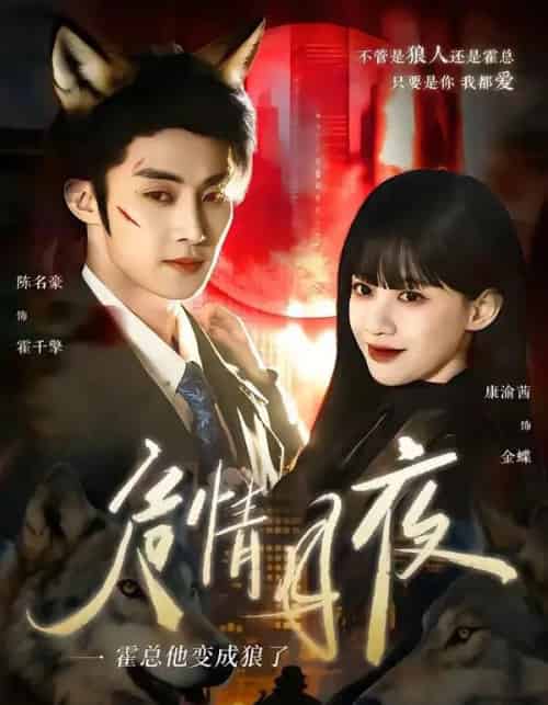 危情月夜：霍总他变成狼了（70集全）陈名豪＆康渝茜-紫橙网创项目网