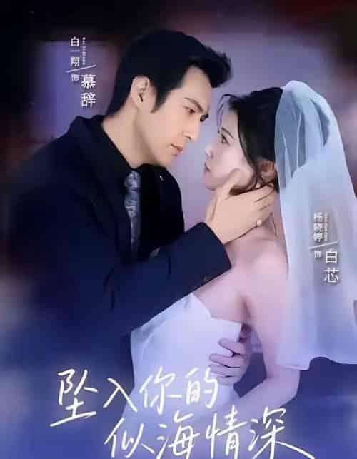 坠入你的似海情深（67集全）白一翔＆杨晓婷-紫橙网创项目网