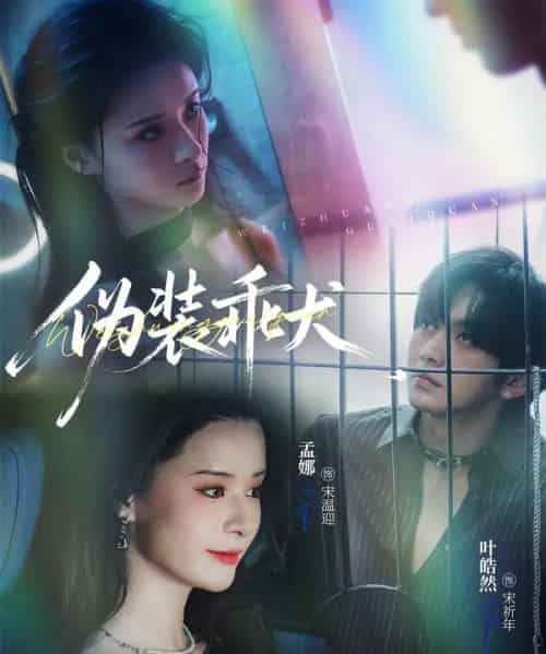 伪装乖犬 伪装乖犬