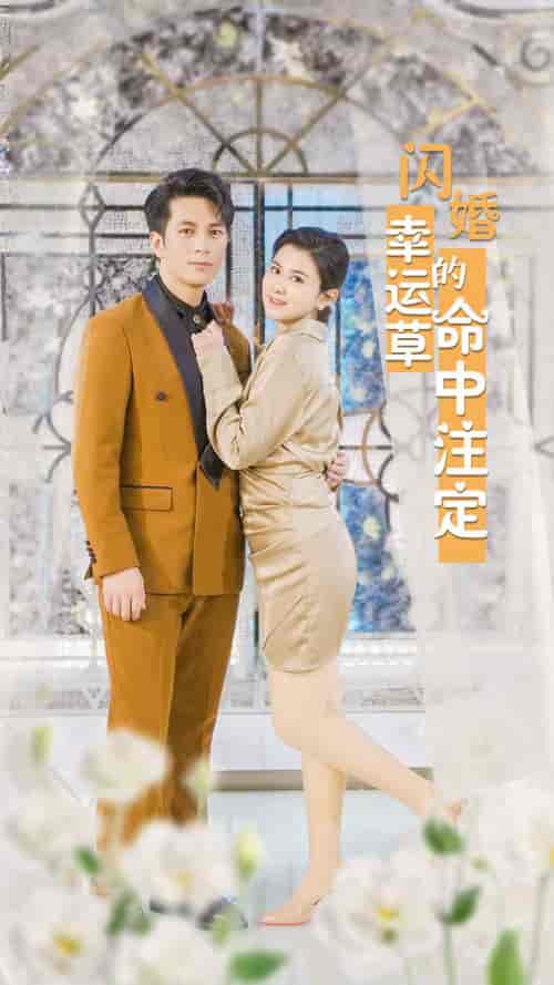 闪婚幸运草的命中注定（82集） - 紫橙阁短剧