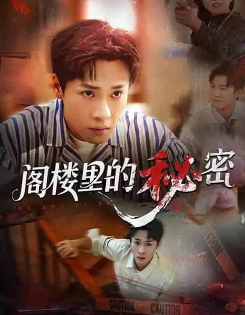 阁楼里的秘密(76集全)黄佳俊&靳坤&吴胤皓-紫橙网创项目网