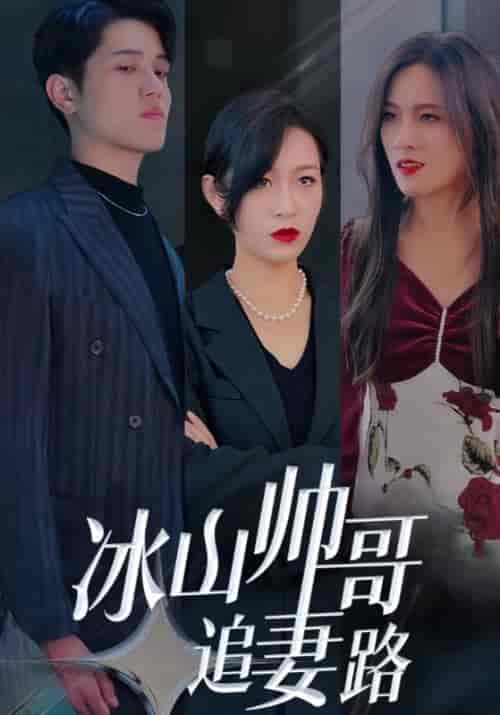 冰山帅哥追妻路（100集全）冷夜＆顾清欢 - 紫橙阁短剧