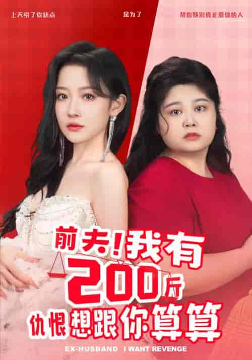 前夫!我有200斤仇恨想跟你算算 前夫!我有200斤仇恨想跟你算算