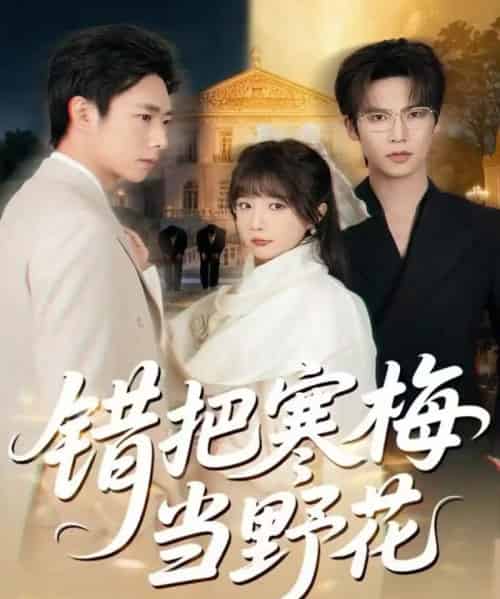 错把寒梅当野花（60集全）于颢鑫＆王籽霖-紫橙网创项目网