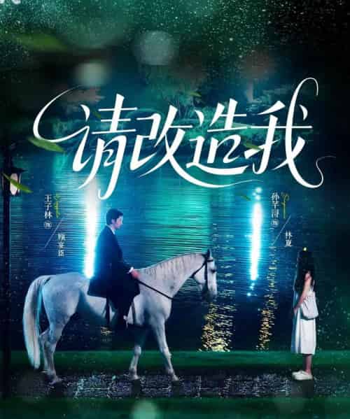 请改造我 请改造我
