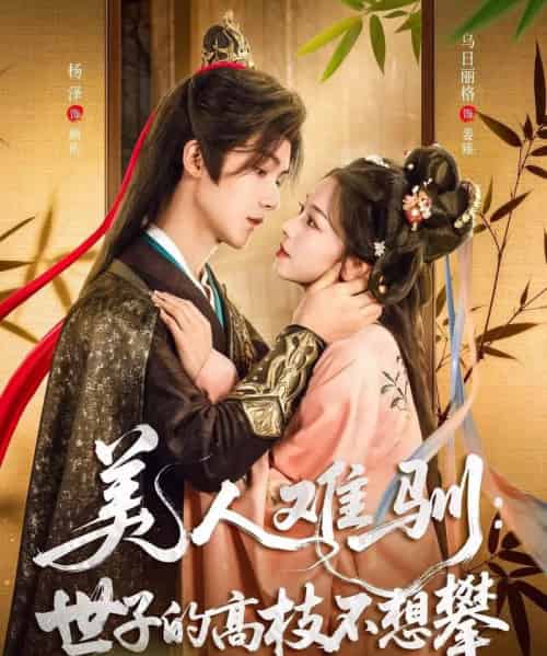 美人难驯世子的高枝不想攀（81集）杨泽＆乌日丽格-紫橙网创项目网