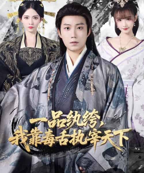 一品纨绔,我靠毒舌执宰天下(65集全)侯泽霖&赵毓杰-紫橙网创项目网