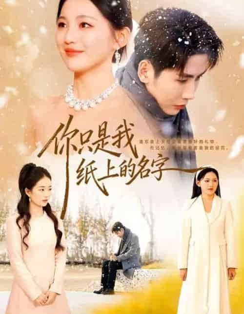 你只是我纸上的名字（68集全）刘博洋＆崔秀子-紫橙网创项目网
