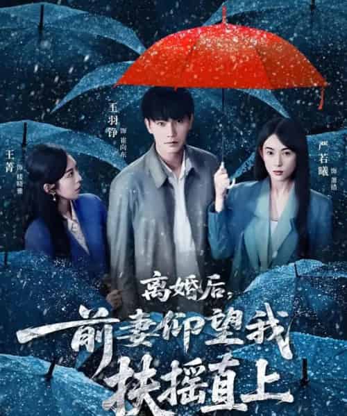 离婚后，前妻仰望我扶摇直上（84集全）王羽铮＆严若曦-紫橙网创项目网