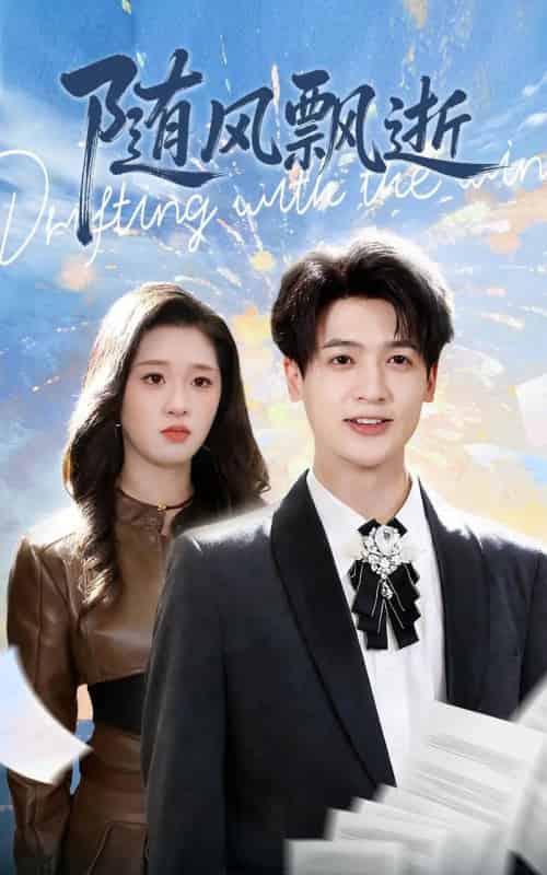随风飘逝(54集全)魏依珂&博之-紫橙网创项目网