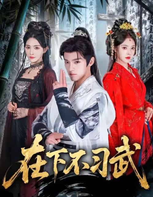 在下不习武(60集全)王珞嘉&苏西-紫橙网创项目网