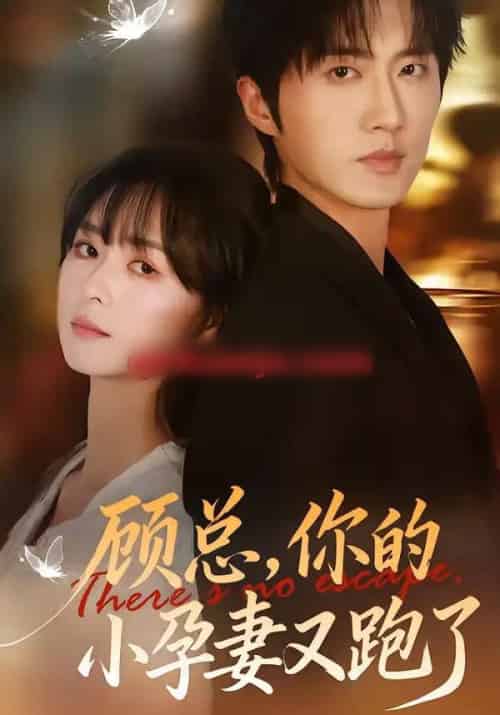 顾总，你的小孕妻又跑了（47集全）马薇＆顾天逸 - 紫橙阁短剧